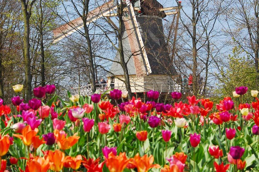 Dagtocht-keukenhof-04.jpg