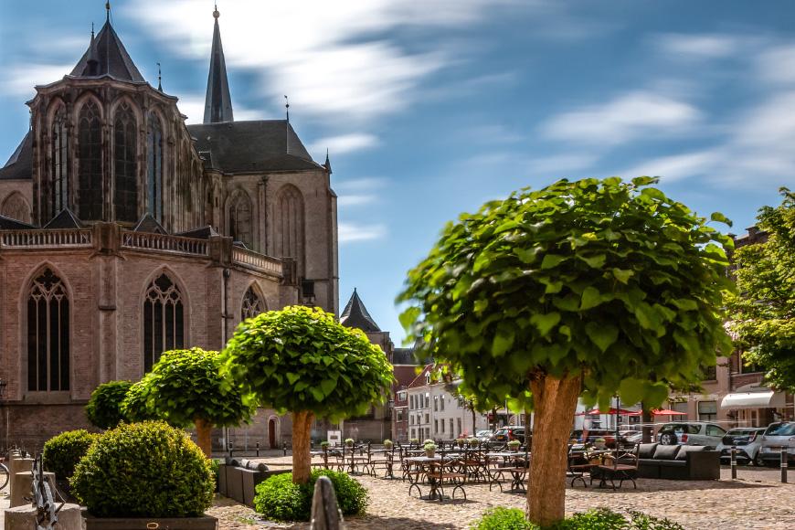 Van Lelystad tot Keulen in lentekleuren04.jpg